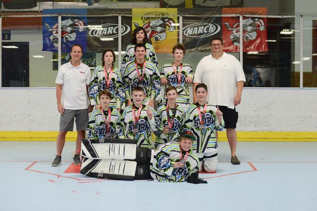 14u Gold Champions - Detroit Mission Storm