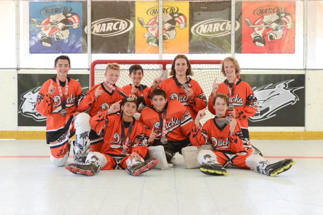 14u Gold Champions - Angry Ducks