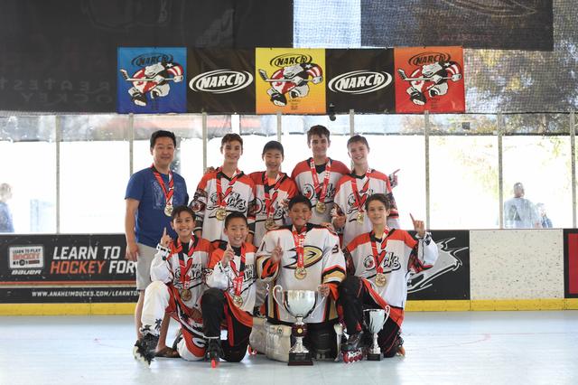 12u Platinum Champions - Angry Ducks