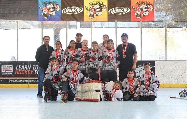 10u Gold Runners Up - High Rollers