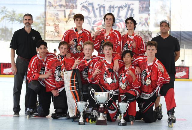 14u Platinum Champions - WinterHawks
