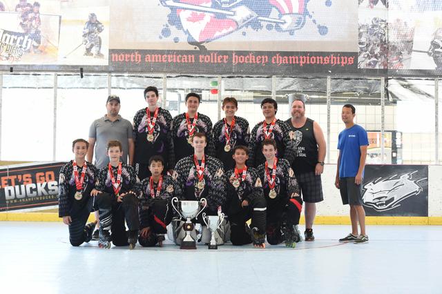 14u Silver Champions - NorCal Jokers