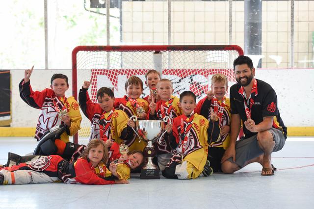 6u Champions - OC Marvel