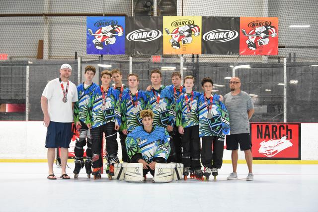 14u Gold Runners Up - Tour Lizard Kings