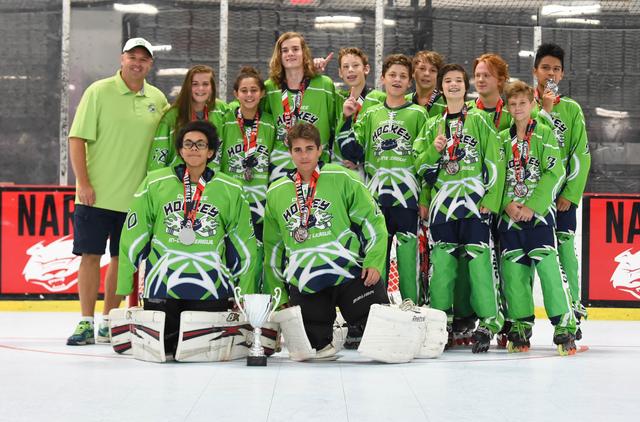 14u Silver Runners Up - Chill Lizards