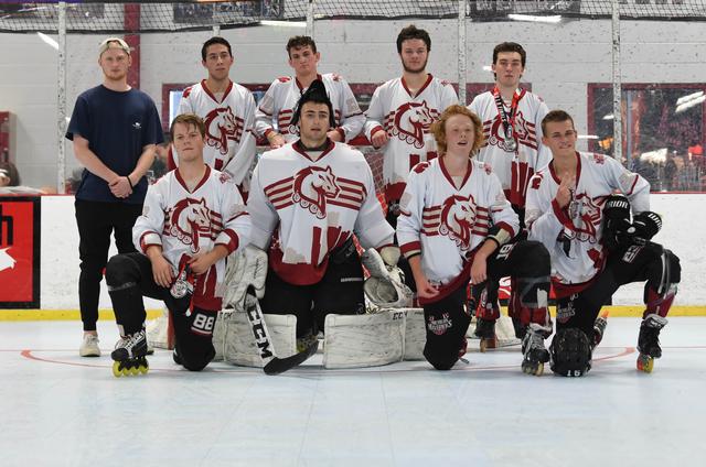 18u Silver Runners Up - Michigan Mavericks