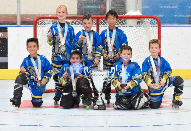 6u Gold Champions - Bulldogs