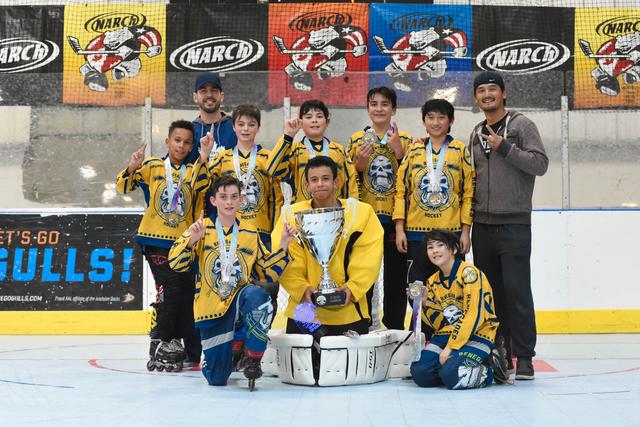12u Silver Champions - Mission Renegades