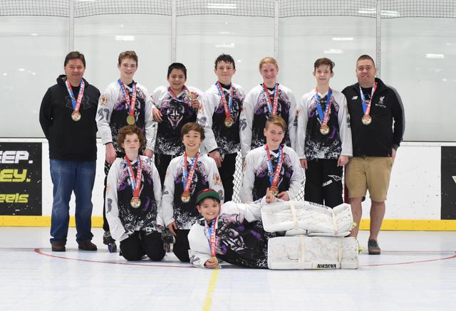 12u Gold Champions - Norcal Jokers