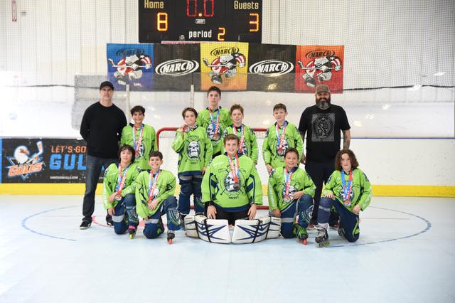 12u Silver Runners Up - Renegades