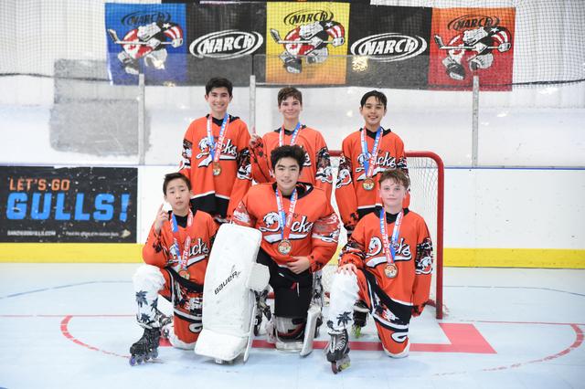 12u Gold Champions - Angry Ducks