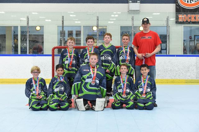 12u Gold Runners Up - IRHL