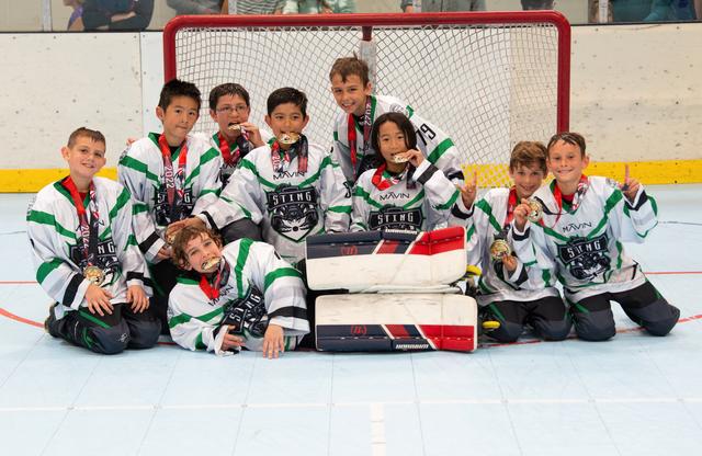 8u Silver Champions - Mavin Sting