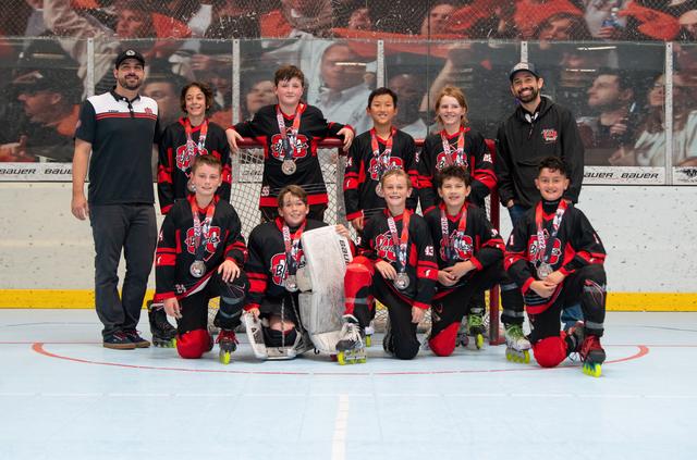 12u Platinum Runners Up - Tour OC Blades